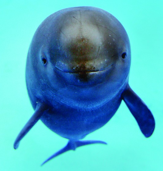 soustredeni na cil | WebJET CMS